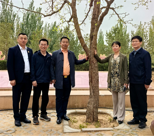 图片7.png